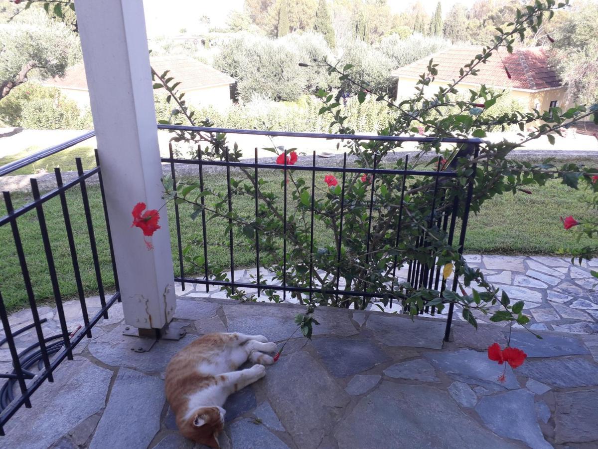 Thermanti Villas Spartià Esterno foto